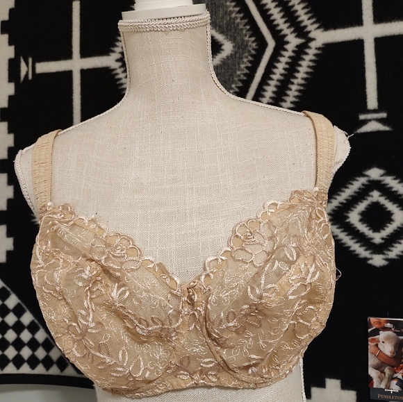🍂 EUC Samanta Model A922 Full Coverage Unlined Underwire Bra, Gold Nude, 38DD - Picture 8 of 16